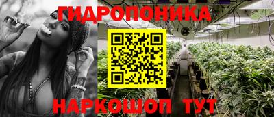 индика Кинель