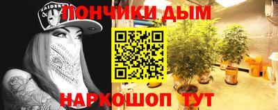 индика Кинель