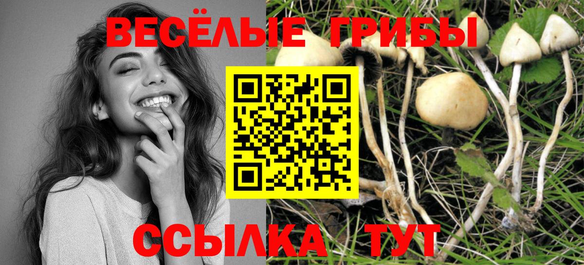 Дубна  Псилоцибиновые грибы прущие грибы  где можно купить   Вход с VPN  Псилоцибиновые грибы прущие грибы 